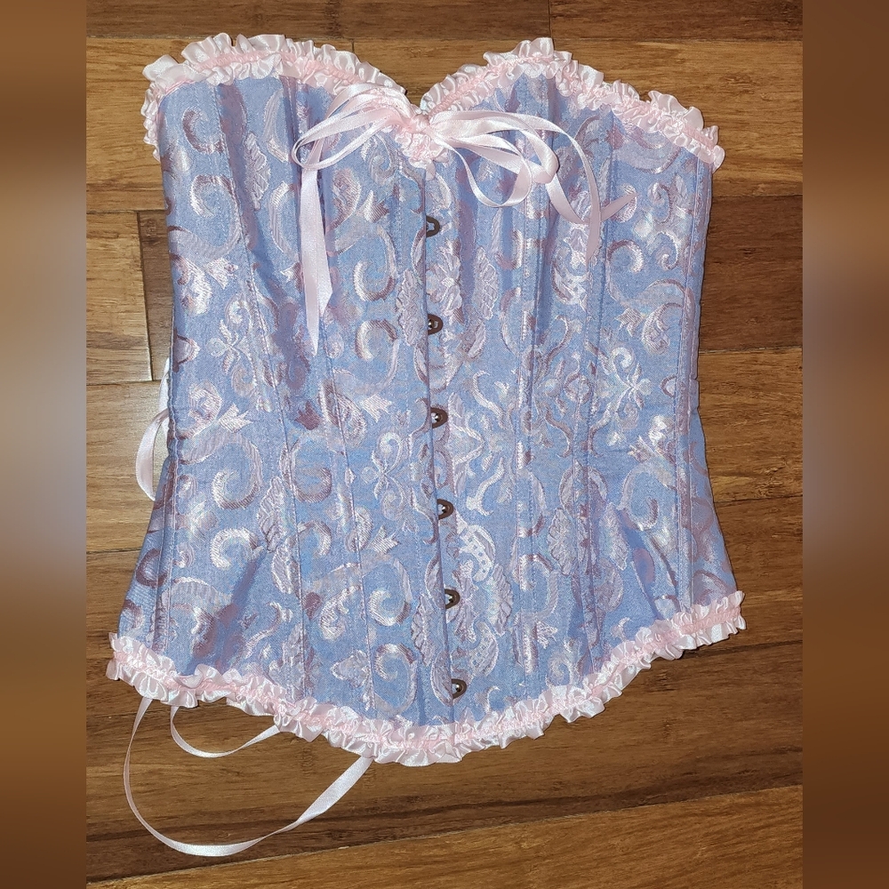 Amazon Light Blue/purple & Pink Brocade Corset Top, Rapunzel